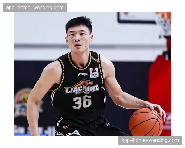 辽宁福建近五次交锋辽宁场均篮板51.2个 内线优势巨大